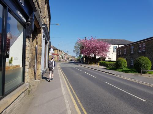The Old Albion - image 10