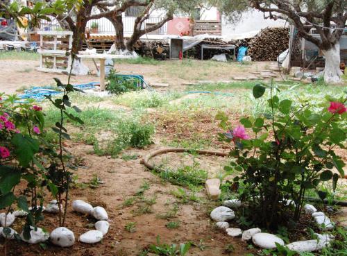  Gregos Apartment in Kissamos