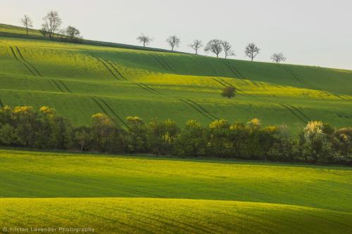 Moravske Toskansko