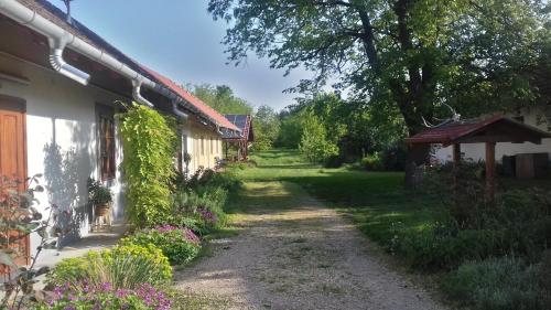Rigofutty Vendeghaz in Tiszaalpár