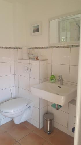 live in the mkk live in the mkk