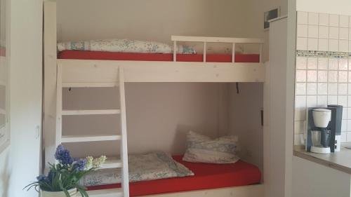 live in the mkk live in the mkk