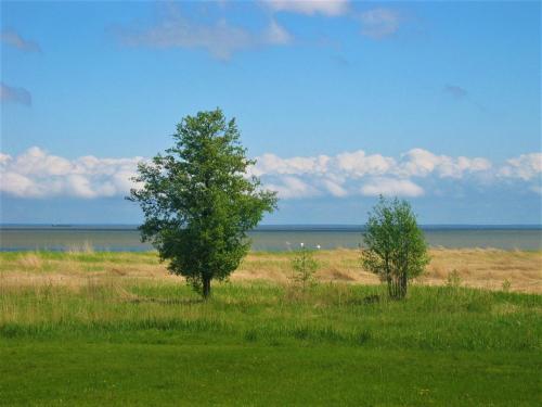 Skats, Saulepa Cottage in Saulepa