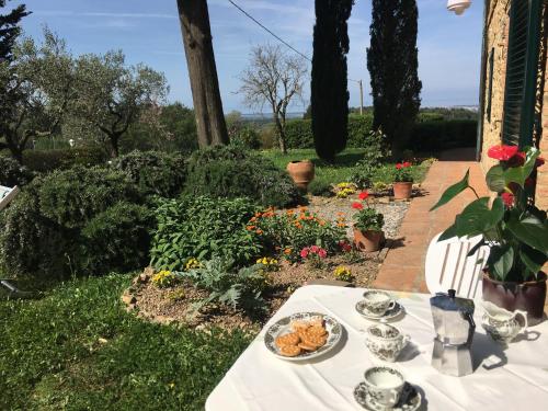 Létesítmények, Podere Morena with sea view, private garden, by ToscanaTour Luca in Guardistallo