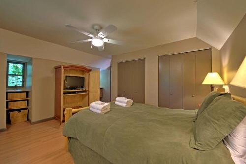 Black Bear Cabin - image 4