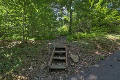 Black Bear Cabin - image 5