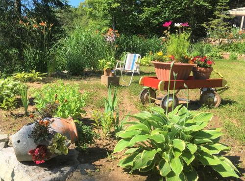 Gîte Vita Bella B&B (Gite Vita Bella B&B) in Seintadolfa Dovarda (QC)