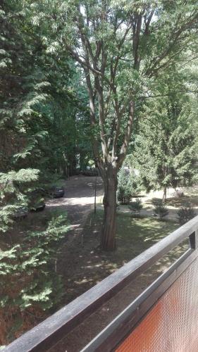 Vedere, Gyongyvirag Udulo – Mario Apartman in Harkany