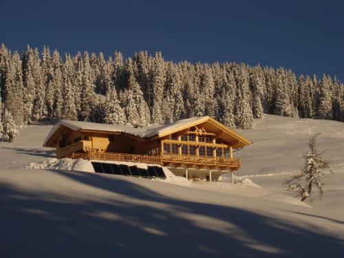 Mecki's Dolomiten Panorama Stubn - Apartment - Debant