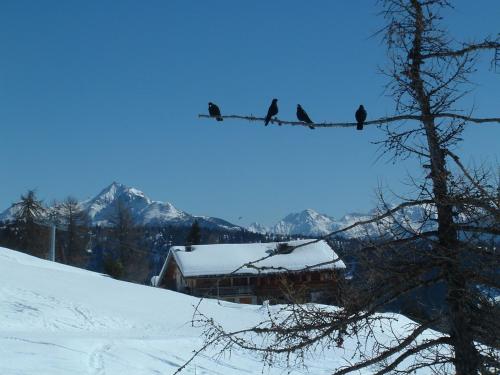 Mecki's Dolomiten Panorama Stubn