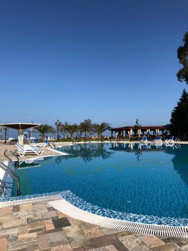 Dreamland oasis in Chakvi Dreamland oasis in Chakvi