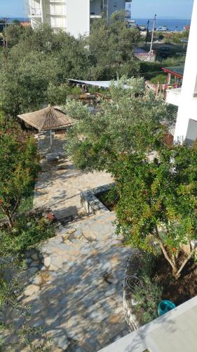 Guest House Solive in Влёра