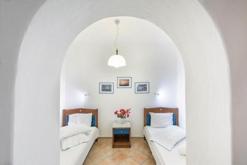 Erisimo - main image