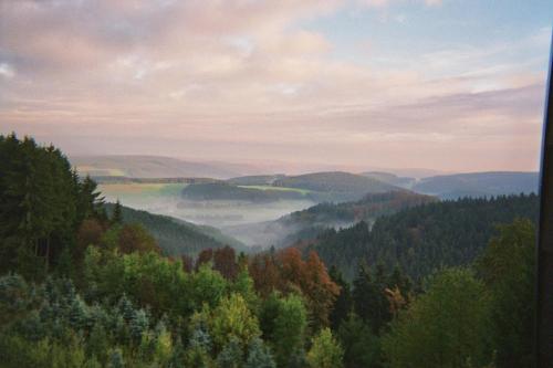 Landgasthof Restaurant Laibach - image 4