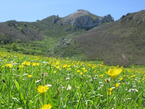 La Posada de Cucayo