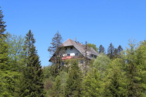 B&B Feldberg - Boutique Hotel Kokoschinski - Bed and Breakfast Feldberg