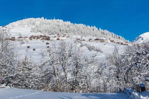 Hotel Postigliun Andiast - image 5