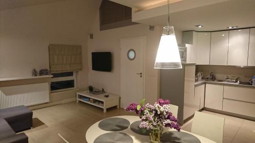 Apartament Silver Międzywodzie