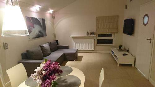 Apartament Silver Międzywodzie