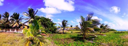 Seascape Beach House Surferspoint Barbados