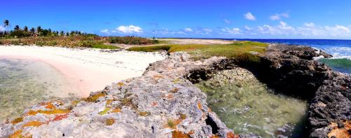 Seascape Beach House Surferspoint Barbados