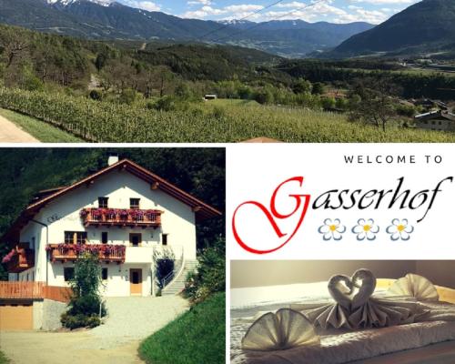 Gasserhof Aicha - Elvas
