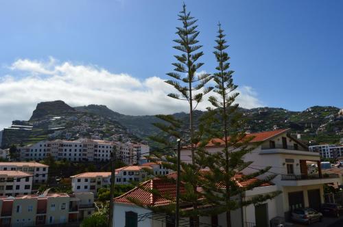 Apartment in Câmara de Lobos