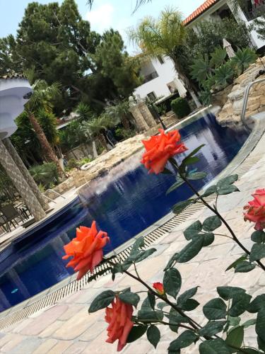 De Michanna De Michanna