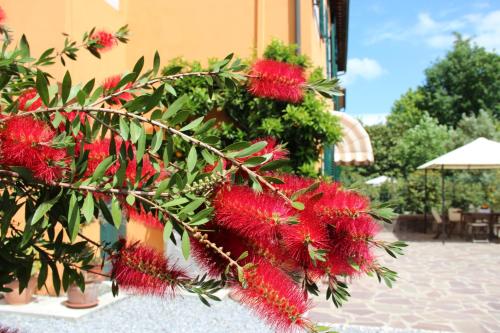 Bed & Breakfast Lucca Fora - main image