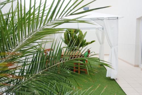 Yucca Villas