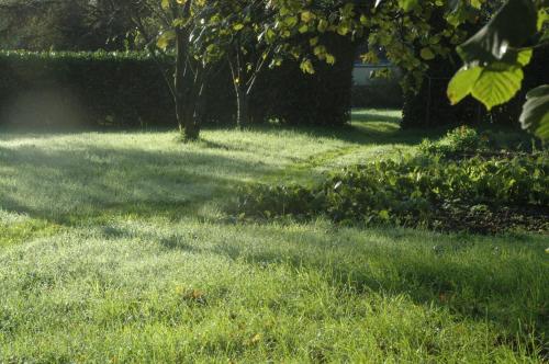 Les Haies chambre d'hôte Le Bois Guy