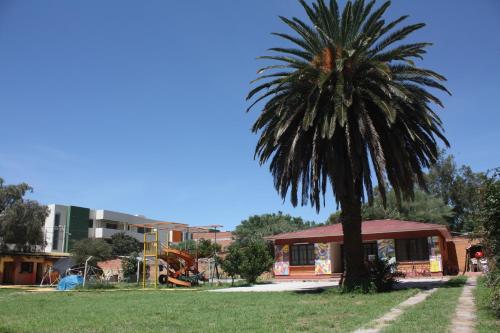 Garten, La Cupula Hostel & Camping in Tarija