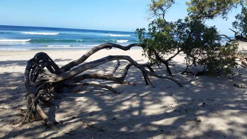 Iekārtas, Plumita Pacifica in Paraiso (Guanacaste)