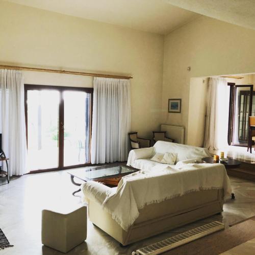 Bright & Spacious Seaview Villa, Сиври (фото 6)