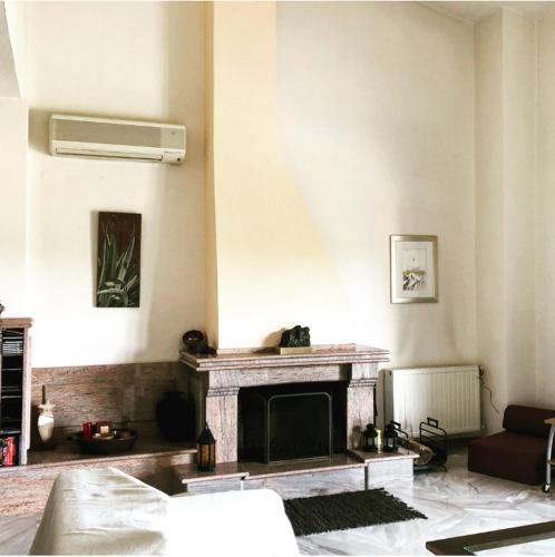 Bright & Spacious Seaview Villa, Сиври (фото 7)