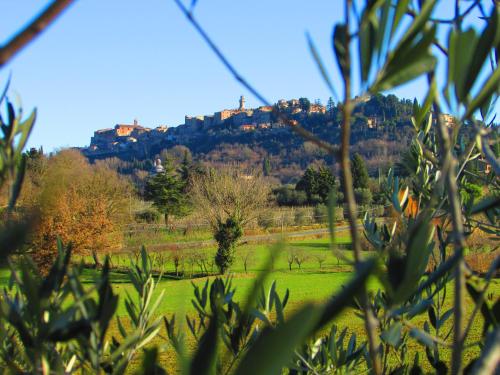 菊芋住宿加早餐酒店