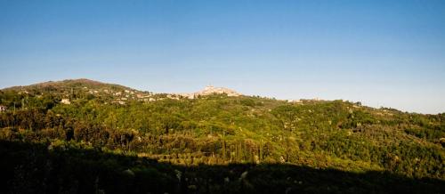 La Trigola - image 11