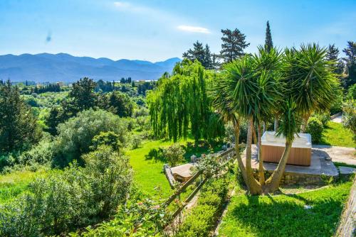  Paradiso Verde, Pension in Lixouri bei Athéras