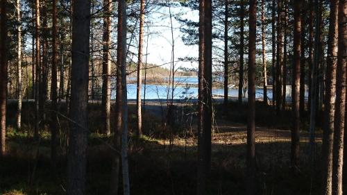 Kuhahuvila, Kalajärvi, Maatilamatkailu Ilomäen mökit