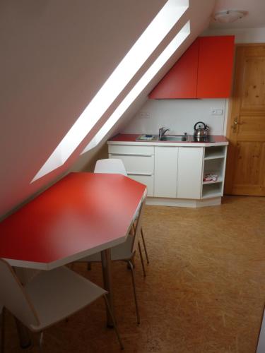 virtuve, PENZION U ŠTEFANA (PENZION U STEFANA) in Ostruzna