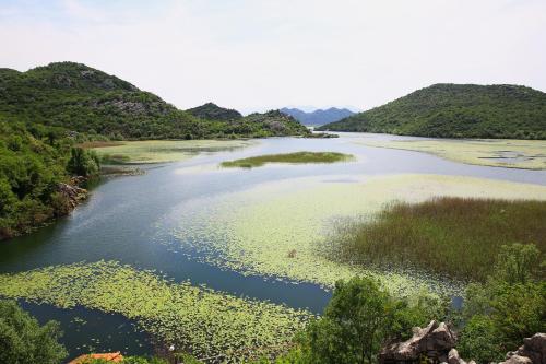 Villa Skadar Lake - image 10