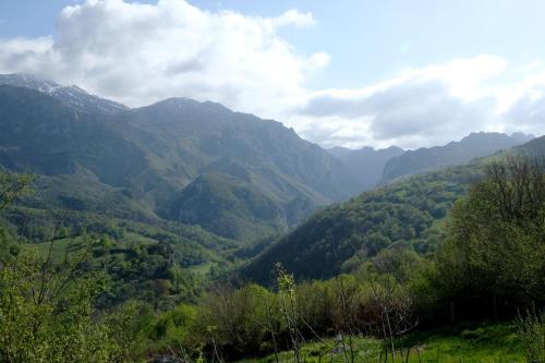 La Terraza de Picos