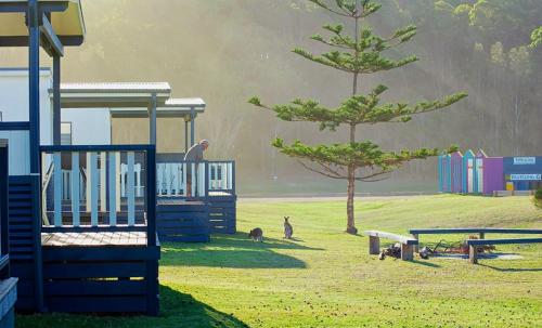 Beachcomber Holiday Park Stop at Beachcomber Holiday Park to discover the wonders of Narooma. The hotel offers a high standard of service and amenities to suit the individual needs of all travelers. Service-minded staff will 