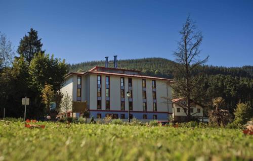 . Hotel Balneario Areatza Nº 01224