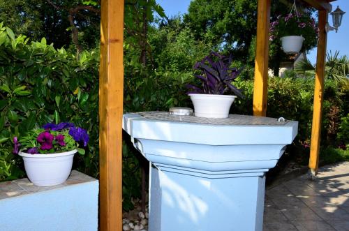 Apartment Blumen Oase Mikulic - image 7