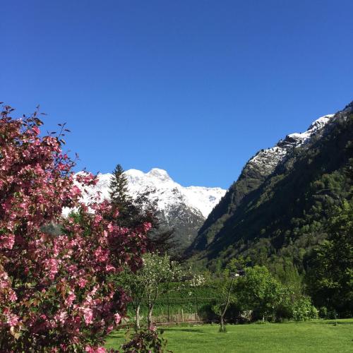 Tre Alberi Liberi Bed & Breakfast