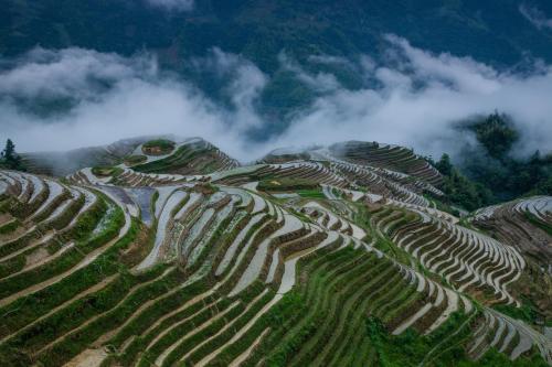 Longji Holiday Hotel