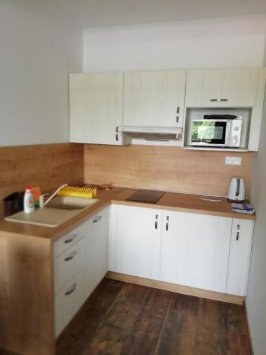 Apartmán Skalnička - Tatranská Lomnica - image 13