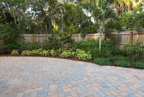 Spacious 1 Bedroom -The Sand Dollar Waterfront District