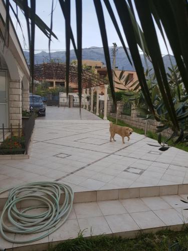 Holiday Home Celuga - image 4